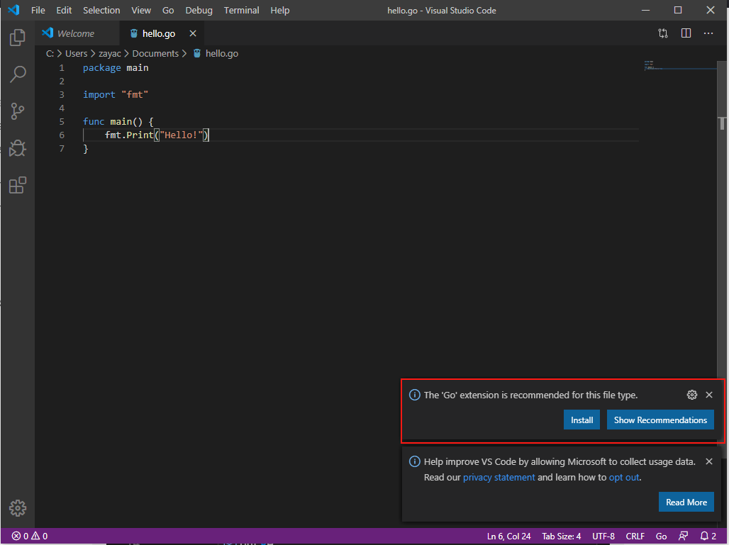 You should see a recommendation to install 'Go' extension. Accept the recommendation.