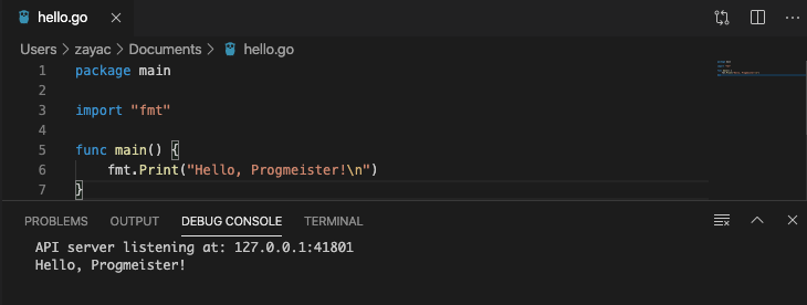 Thumbnail image for Installation for Go, Geany and Visual Studio Code