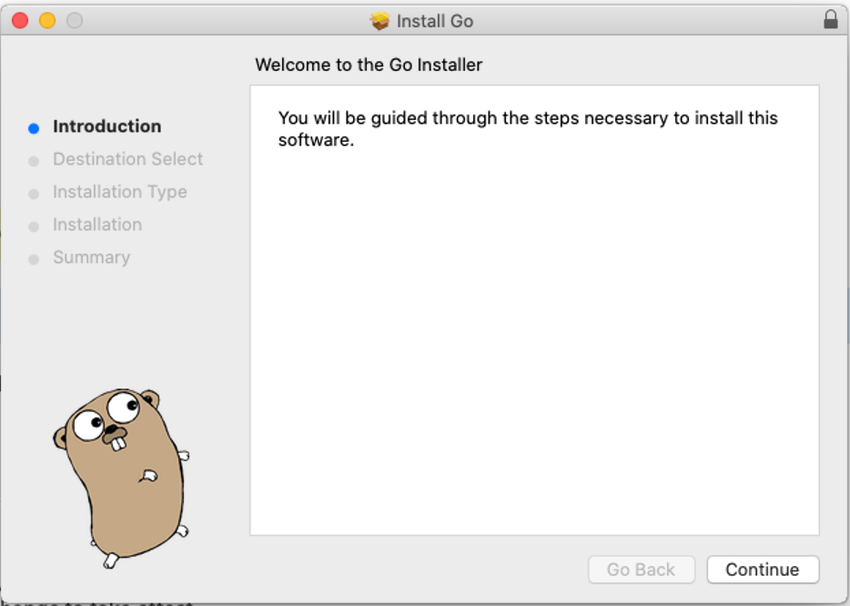 Run the installer. Follow the steps to install Go.